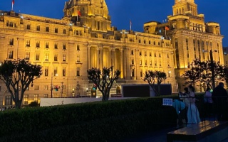 上海各区的品茶风情：2025年的文化与味蕾之旅